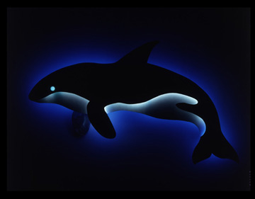 "Orca", marine art, neon sculpture night time view