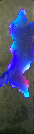 "Herrara Series I", a neon art sculpture featured in the virtual neon art gallery of artist Ehlenberger