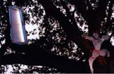 Threshold 1 Neon Sculpture, Neon Art Installation, Celebration in the Oaks, New Orleans 1997