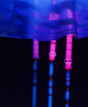 "Jellyfish- close-up", featured in the virtual neon art gallery, this site displays the neon art, neon sculpture and neon art installations of neon artist Eric Ehlenberger, including modern and contemporary art work as well as a line of neon clocks and wall sconces
