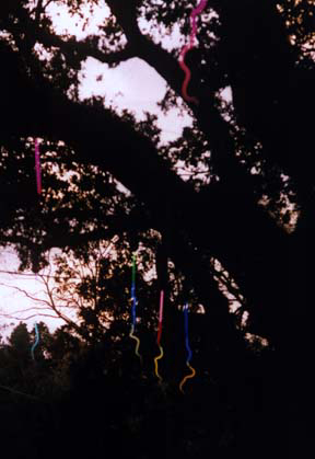 "Hanging Stalaglites" neon sculpture art installation in Celebration in the Oaks New Orleans by Eric Ehlenberger