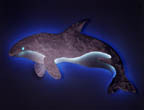 Orca thumbnail