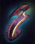 Pteros thumbnail