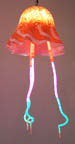 Jellyfish neon & glass light sculpture 229