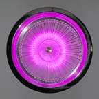 contemporary modern wall sconce neo-Antique glass & stainless steel