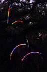 arcs 1 Neon Sculpture, Neon Art Installation, Celebration in the Oaks, New Orleans 1999