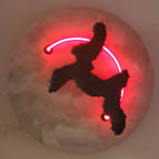 wall sconces: contemporary neon, glass sconces